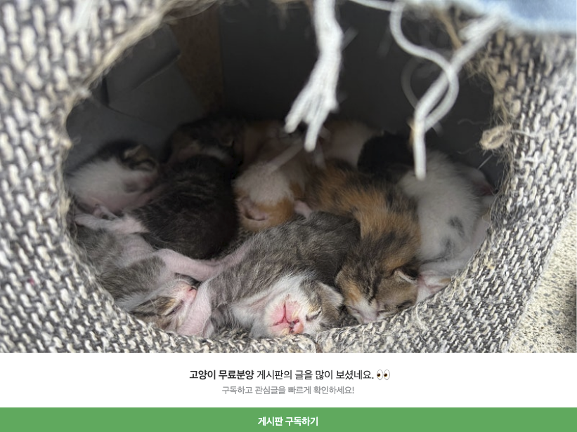 썸네일 없음