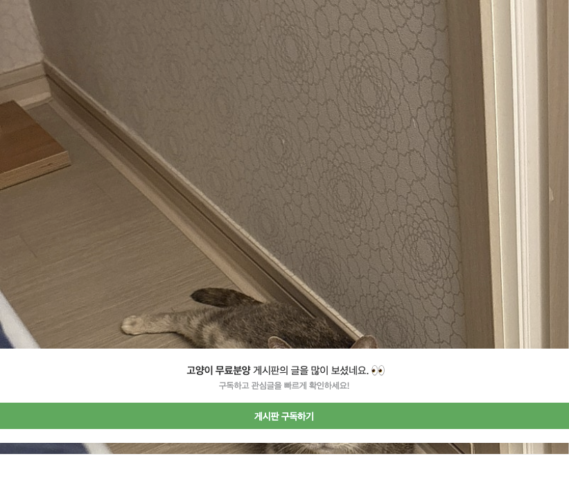 썸네일 없음