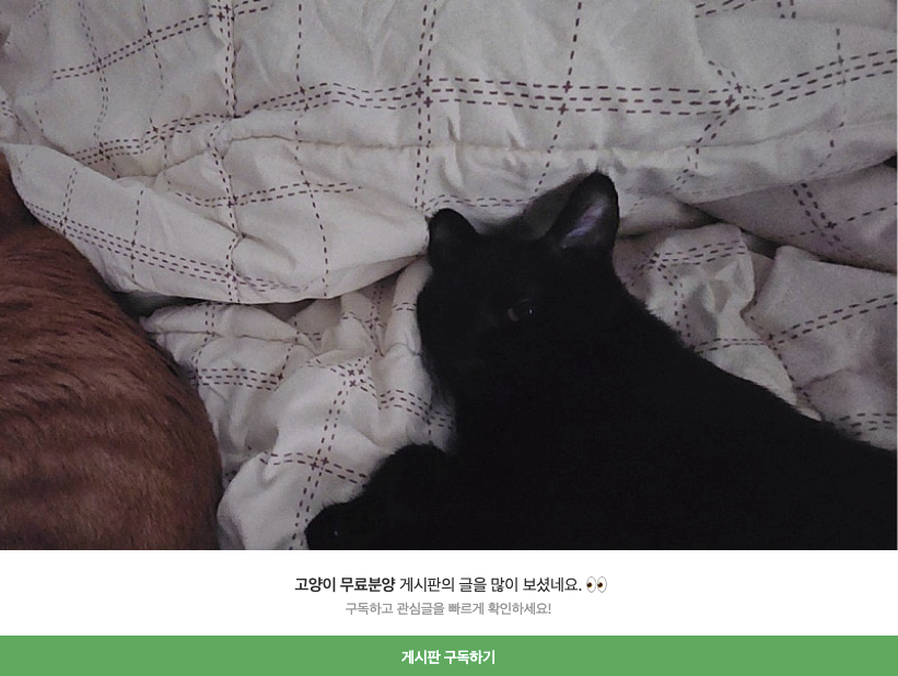 썸네일 없음