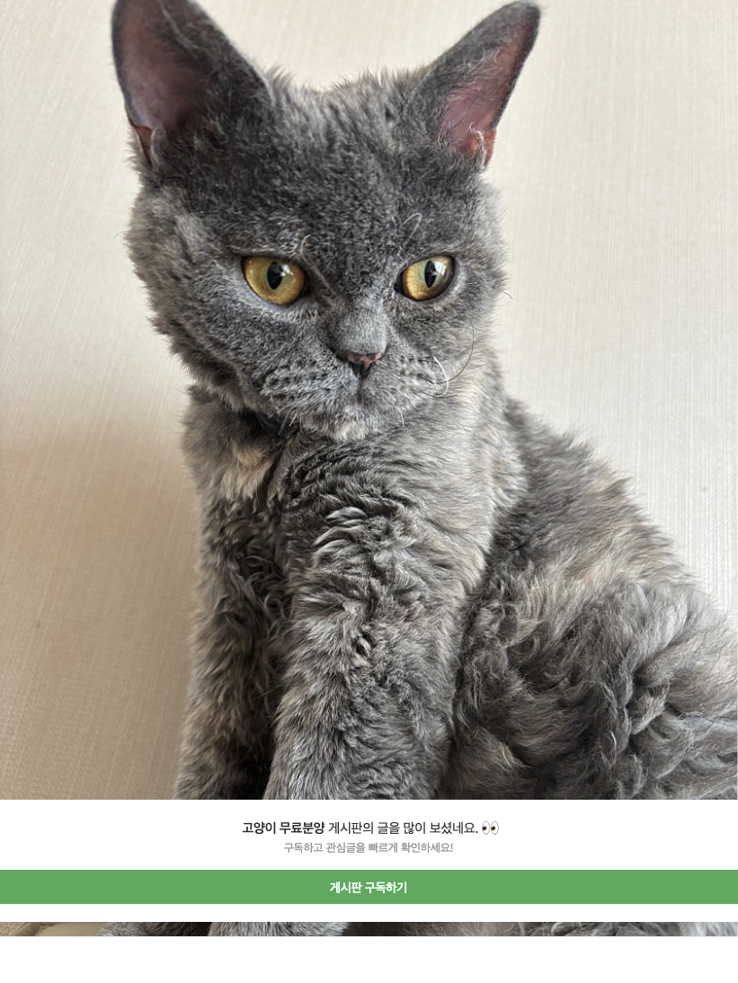 썸네일 없음