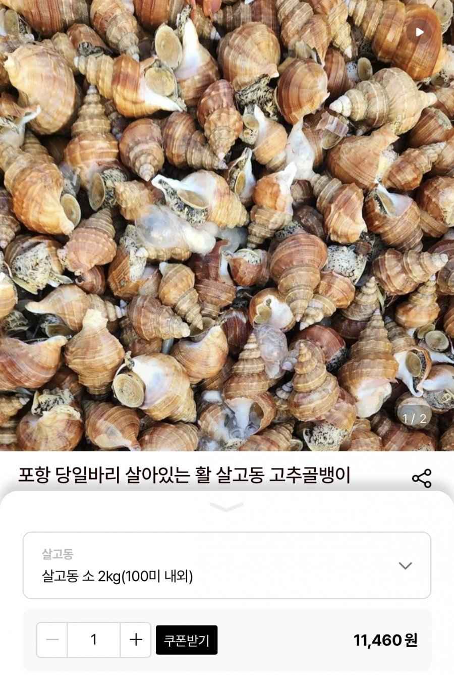 포항 당일바리 활 살고동 소 2kg(100미 내외) (10,890원/무료)