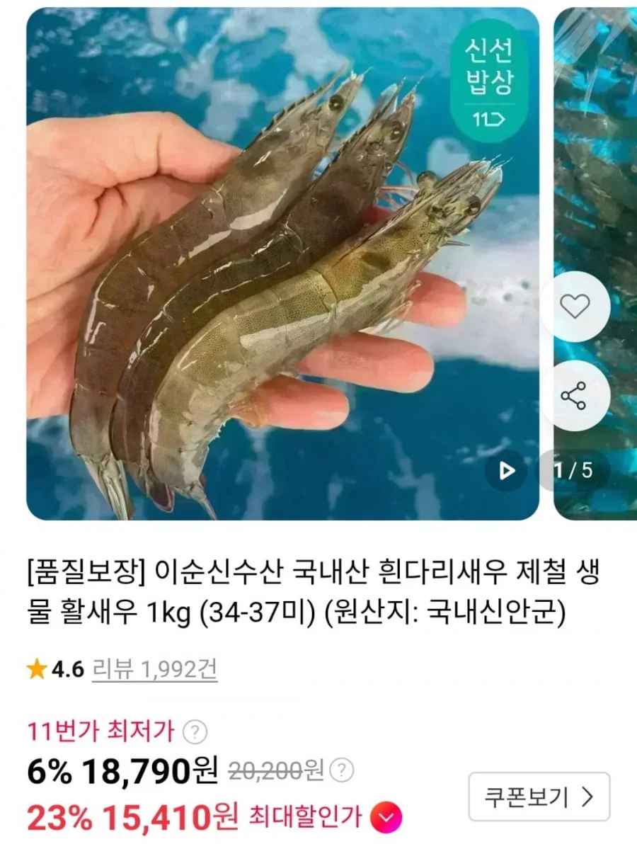 국내산 흰다리새우 생물 1kg 34-37미 (신한15,410원 / 무료)