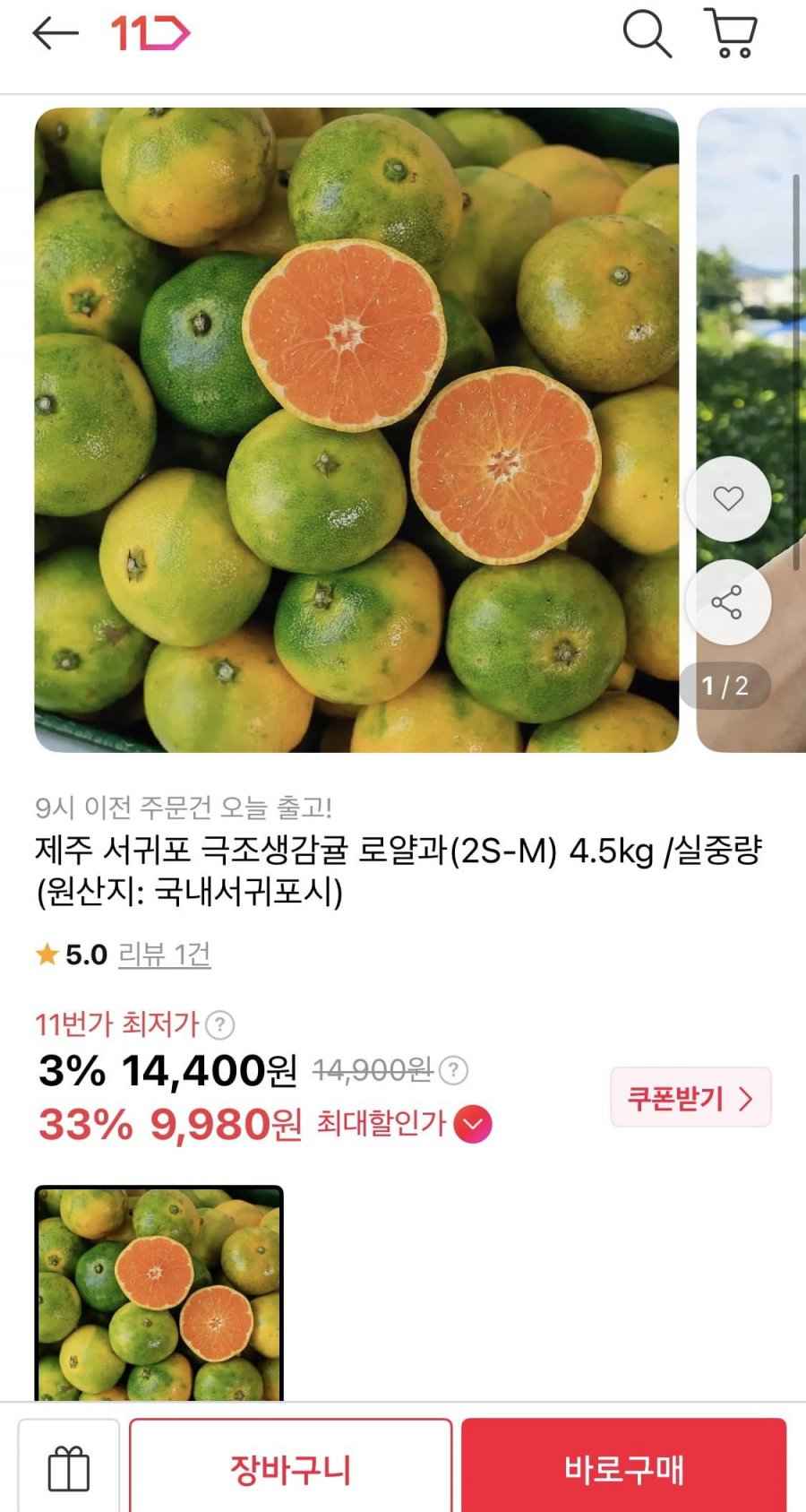 제주 서귀포 극조생감귤 로얄과 4.5kg (9,980원/무료배송)
