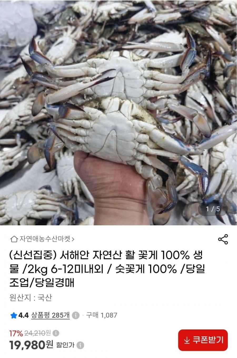 서해안 자연산 활 꽃게 100% 생물 2kg 6-12미내외 (19,980원/무료)