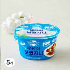 덴마크 후레쉬 보코치니 125g 5개