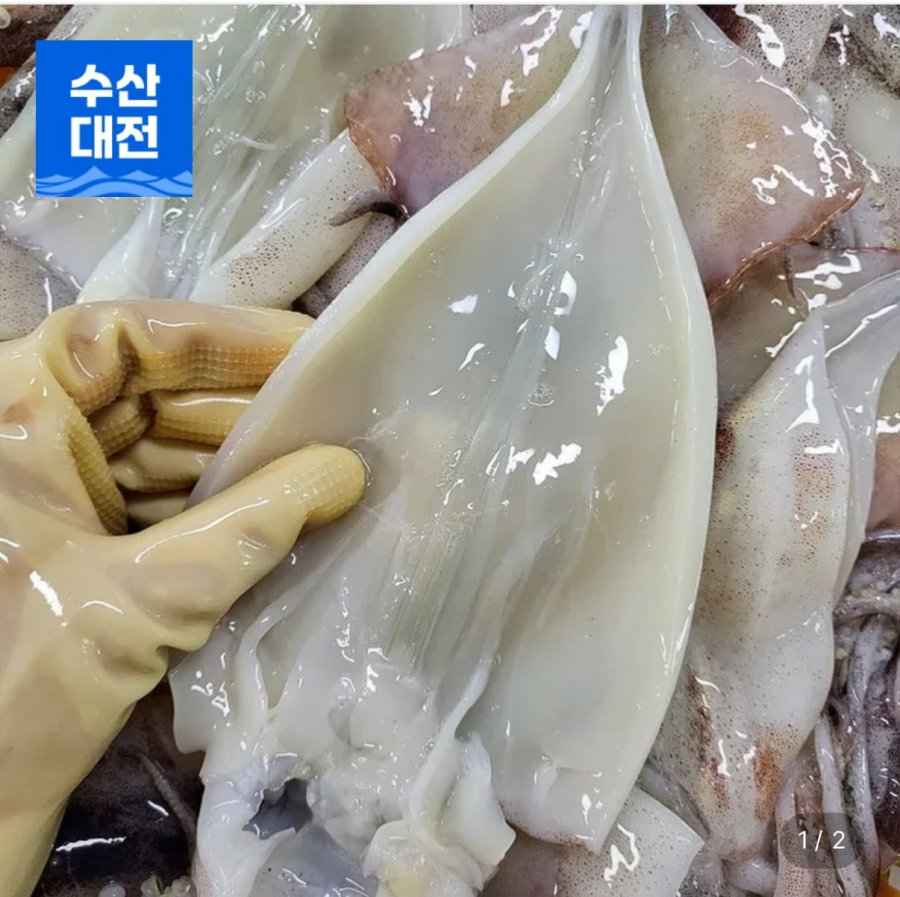손질통오징어 10마리 220g 5팩