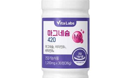 데일리원 비타랩스 마그네슘 30정 1개