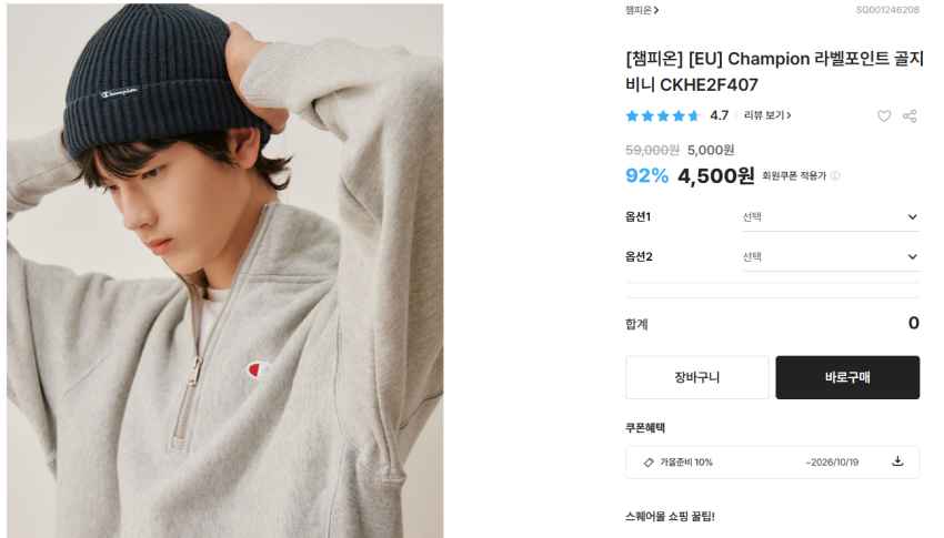 챔피온 비니 4,500원 외 곡괭이