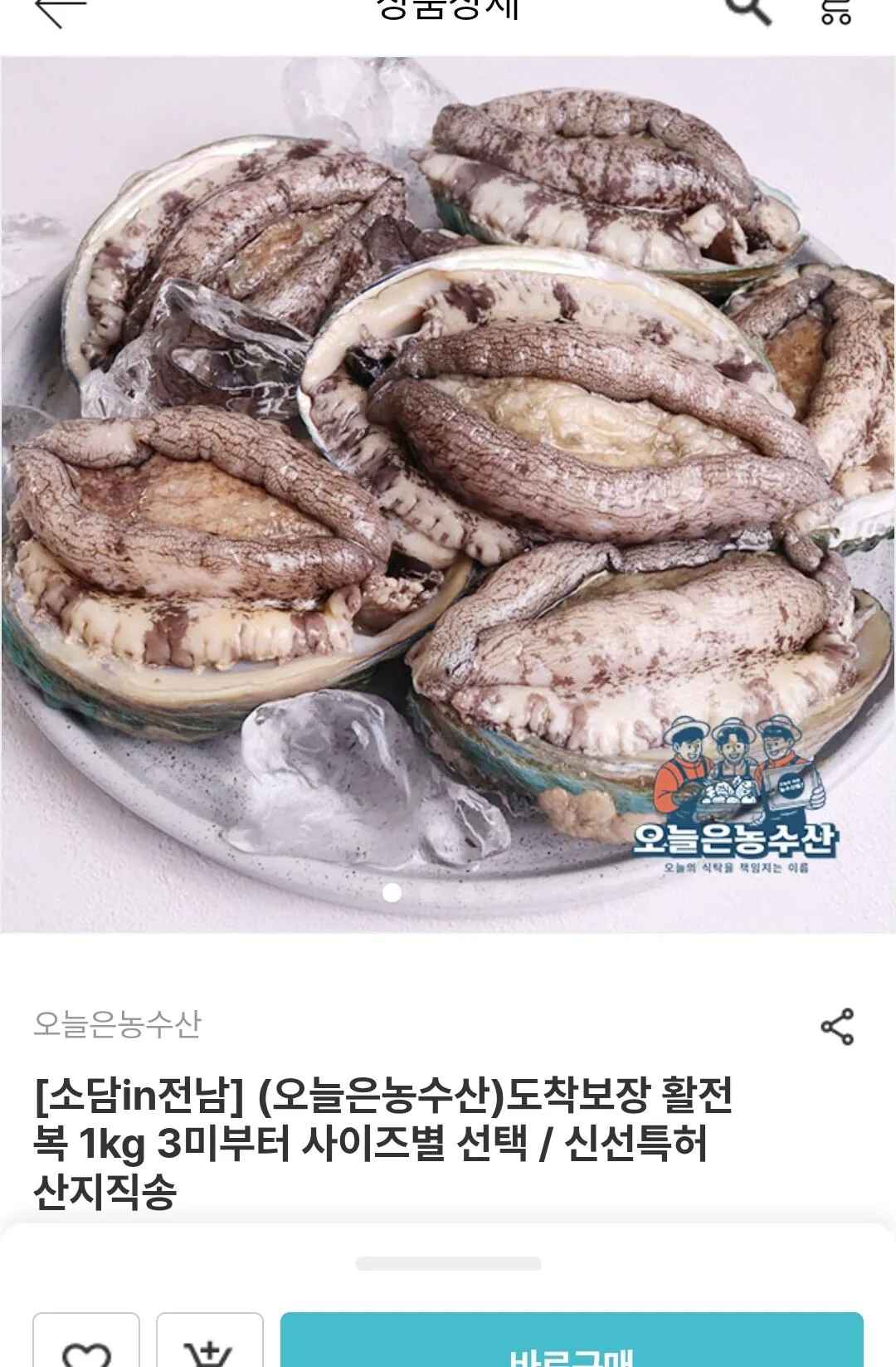 전남 활 전복 6-8미 (1kg)