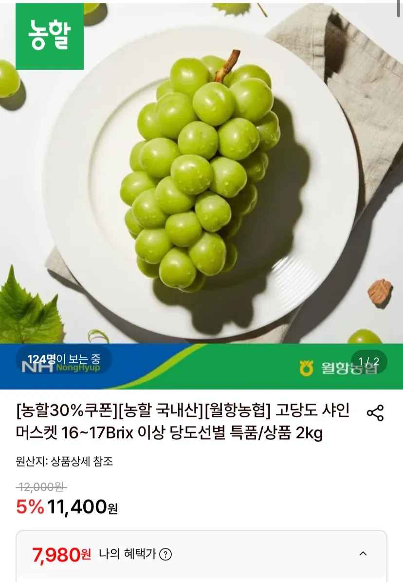 샤인머스켓 2kg 특품
