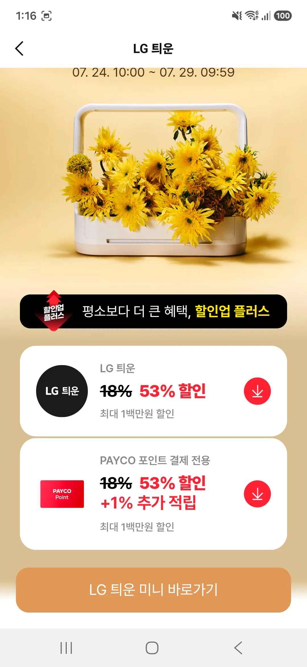 틔운 미니