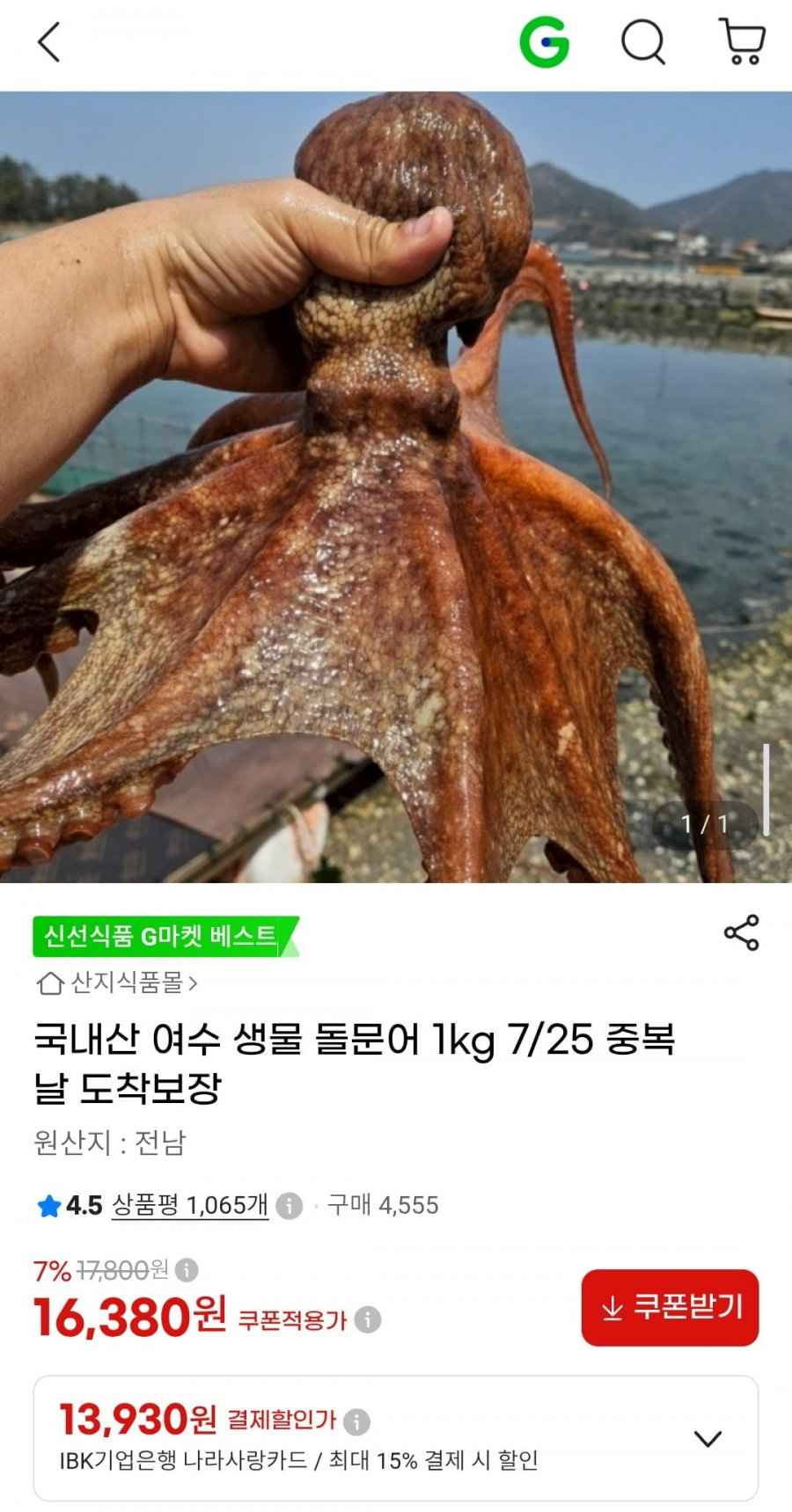 국내산 여수 생물 돌문어 1kg (16,380원/무료)