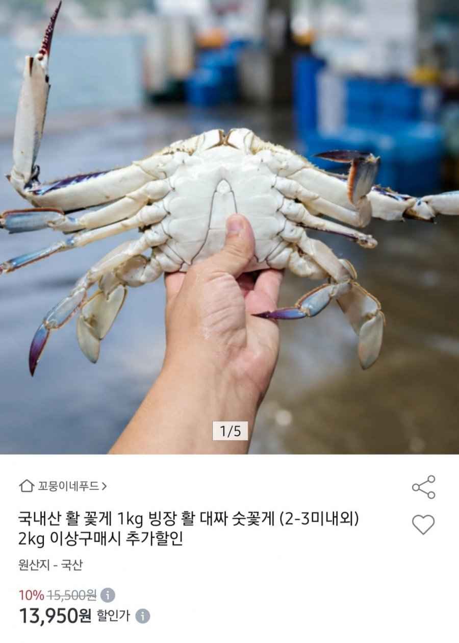 대짜 숫꽃게 (2-3미내외) (13,950원/무배)