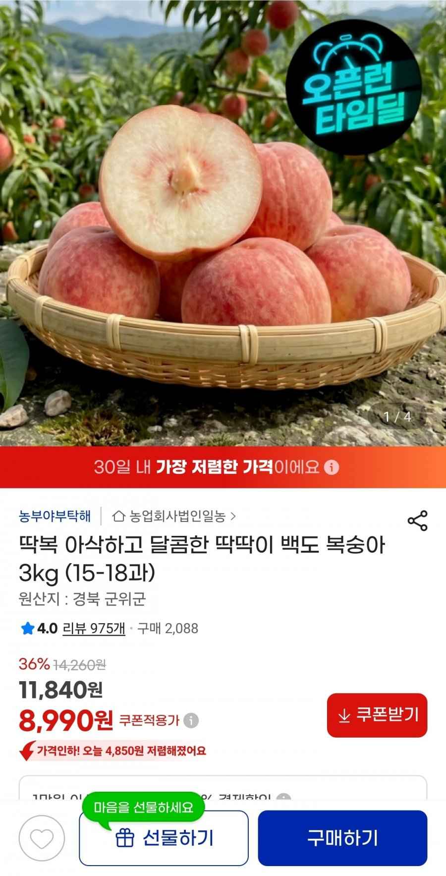 딱딱이 백도 복숭아 3kg (15-18과)