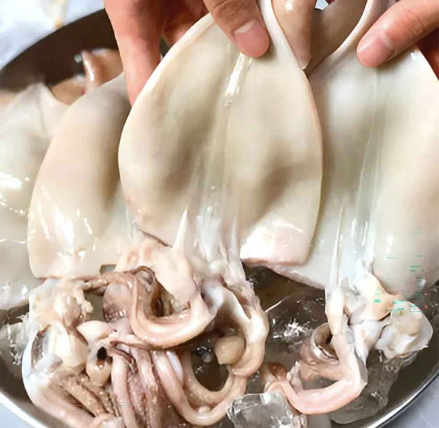 손질오징어 500g 2-3마리 (9,870원/무료)