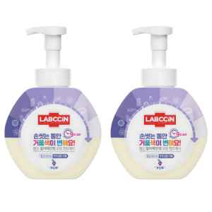 랩신 컬러체인징 포밍 핸드워시 포도향, 500ml, 2개