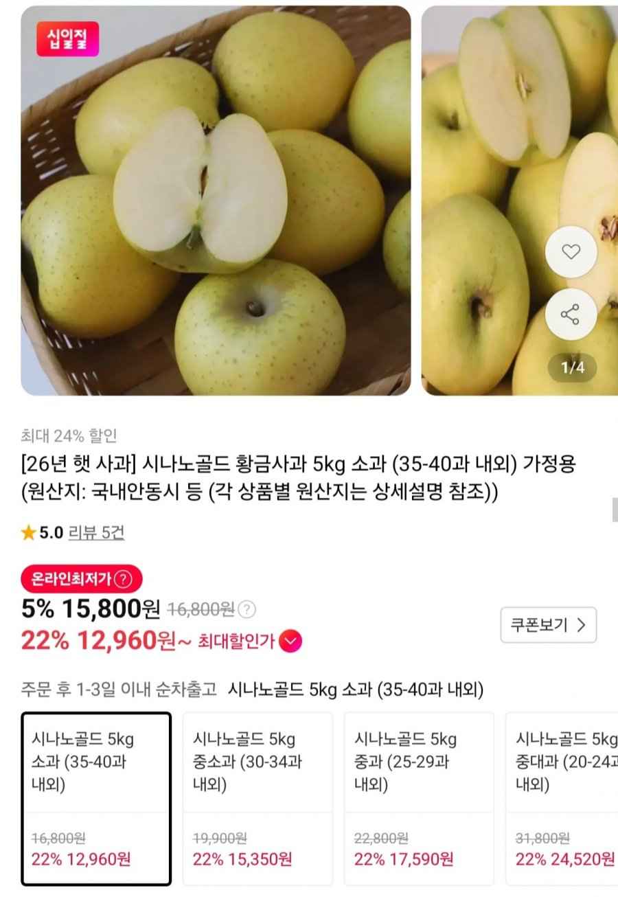 시나노골드 황금사과 가정용 5kg 소과 (12,960원/무료)