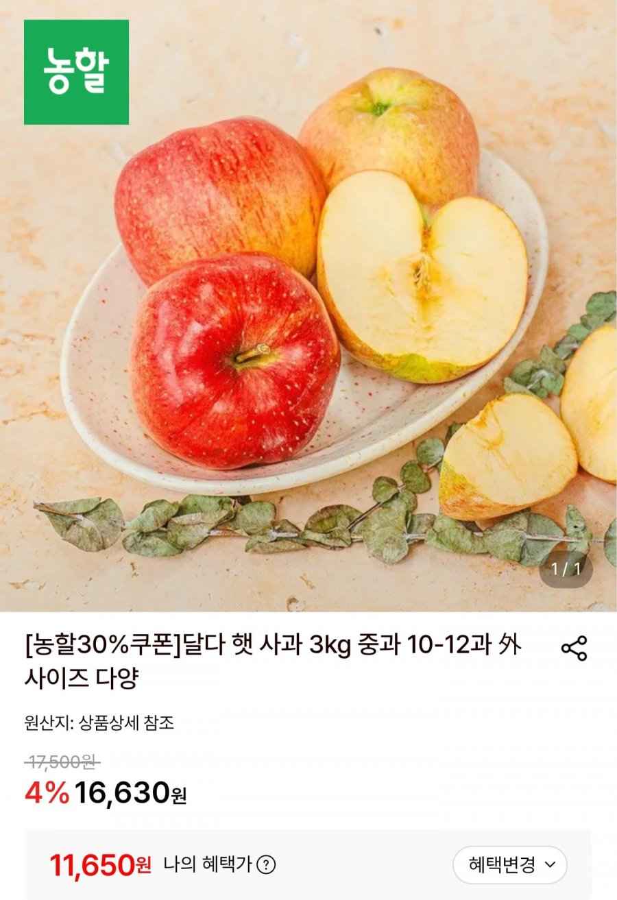 햇 사과 홍로 3kg 중과