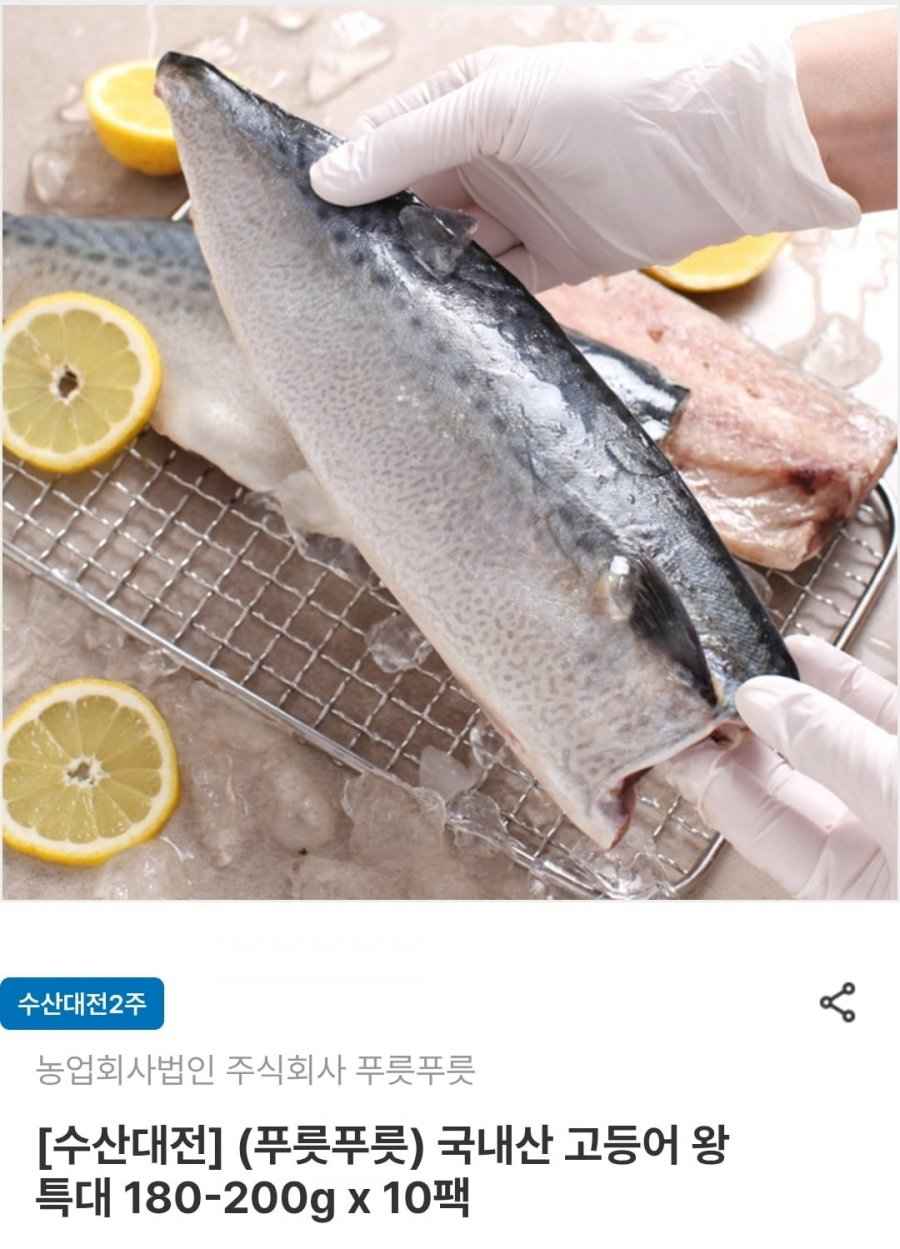 여수 고등어 왕특대 180~200g 10팩 (18,130원/무료)