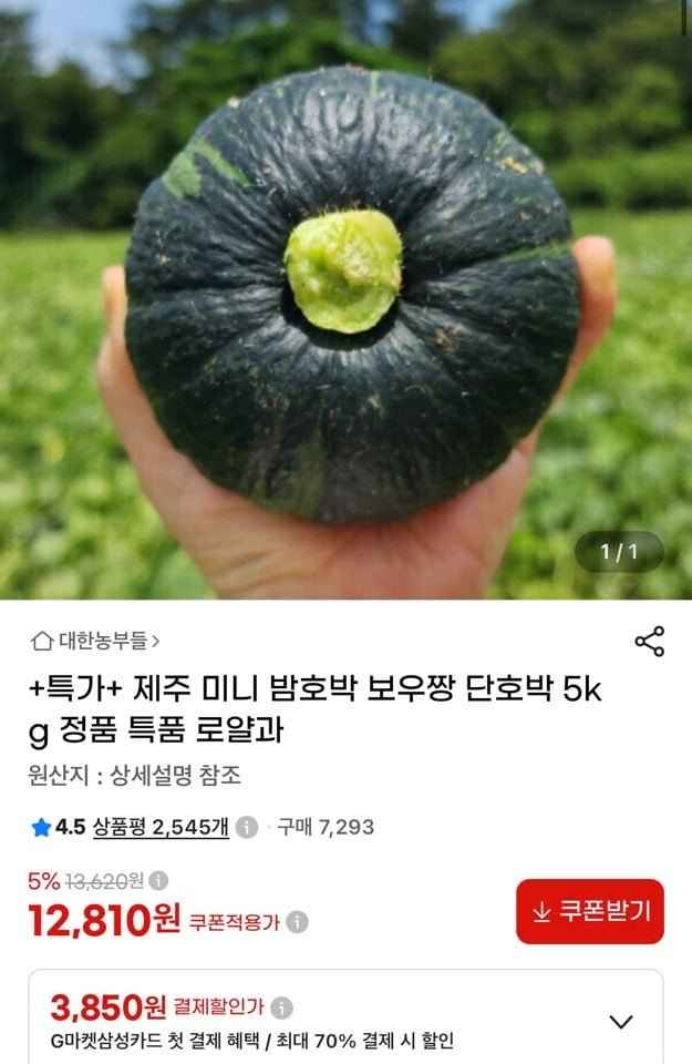 제주 미니 밤호박 보우짱 단호박 5kg (12,810원/무배)