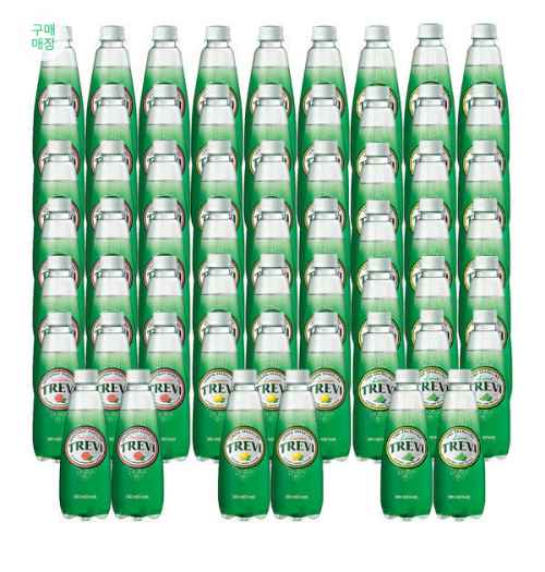 트레비 라임·자몽·레몬 300ml 3종 60pet
