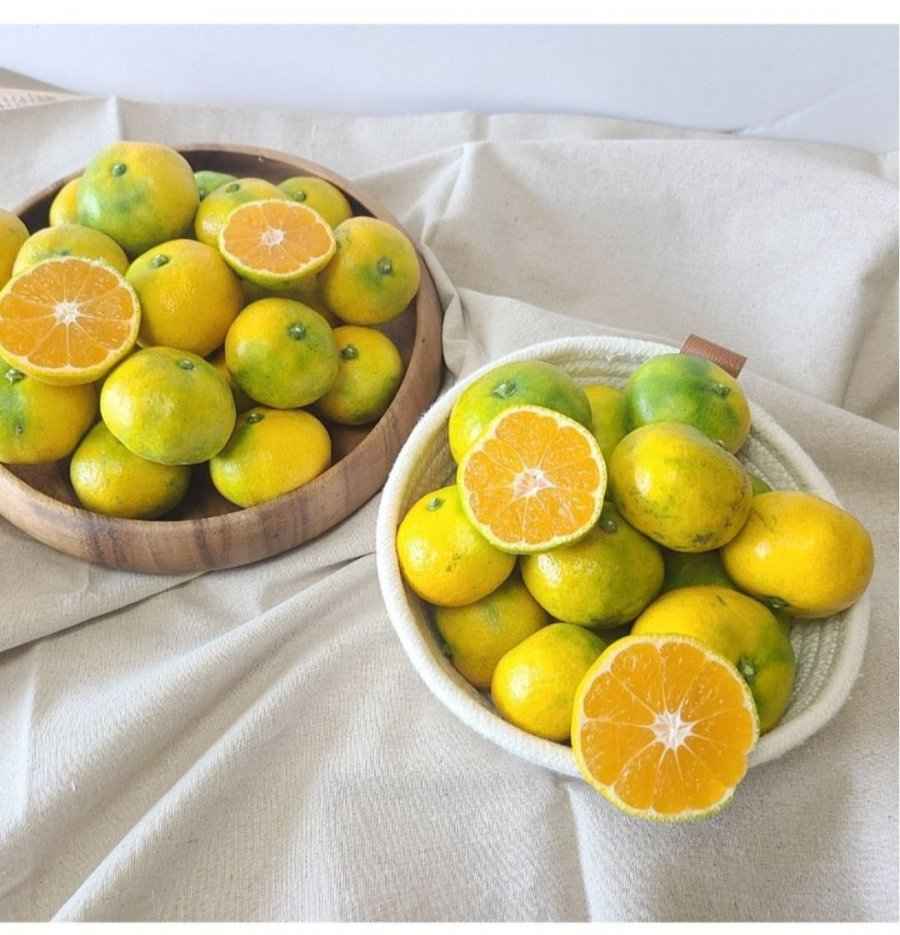 제주 햇 극조생 감귤 4.5kg/9kg(실중량) (7,870원~/무료)