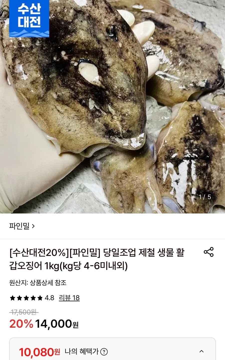 [롯데온] 당일조업 제철 생물 갑오징어 1kg 4-6미 (10,080원) (무료)