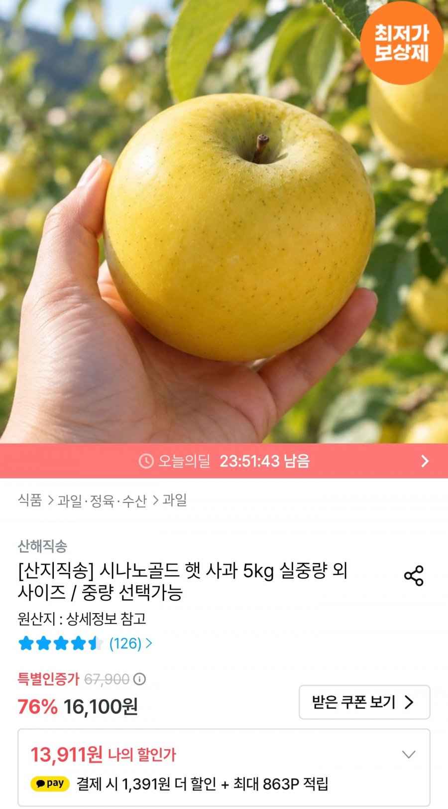 시나노골드 햇사과 5kg 소과 (12,938원/무료배송)
