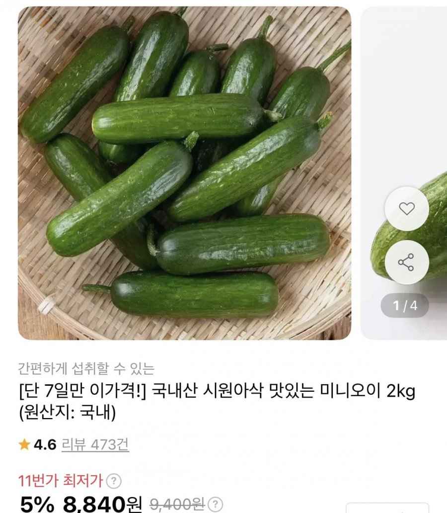 국내산 미니오이 2kg (8,840원/무료)