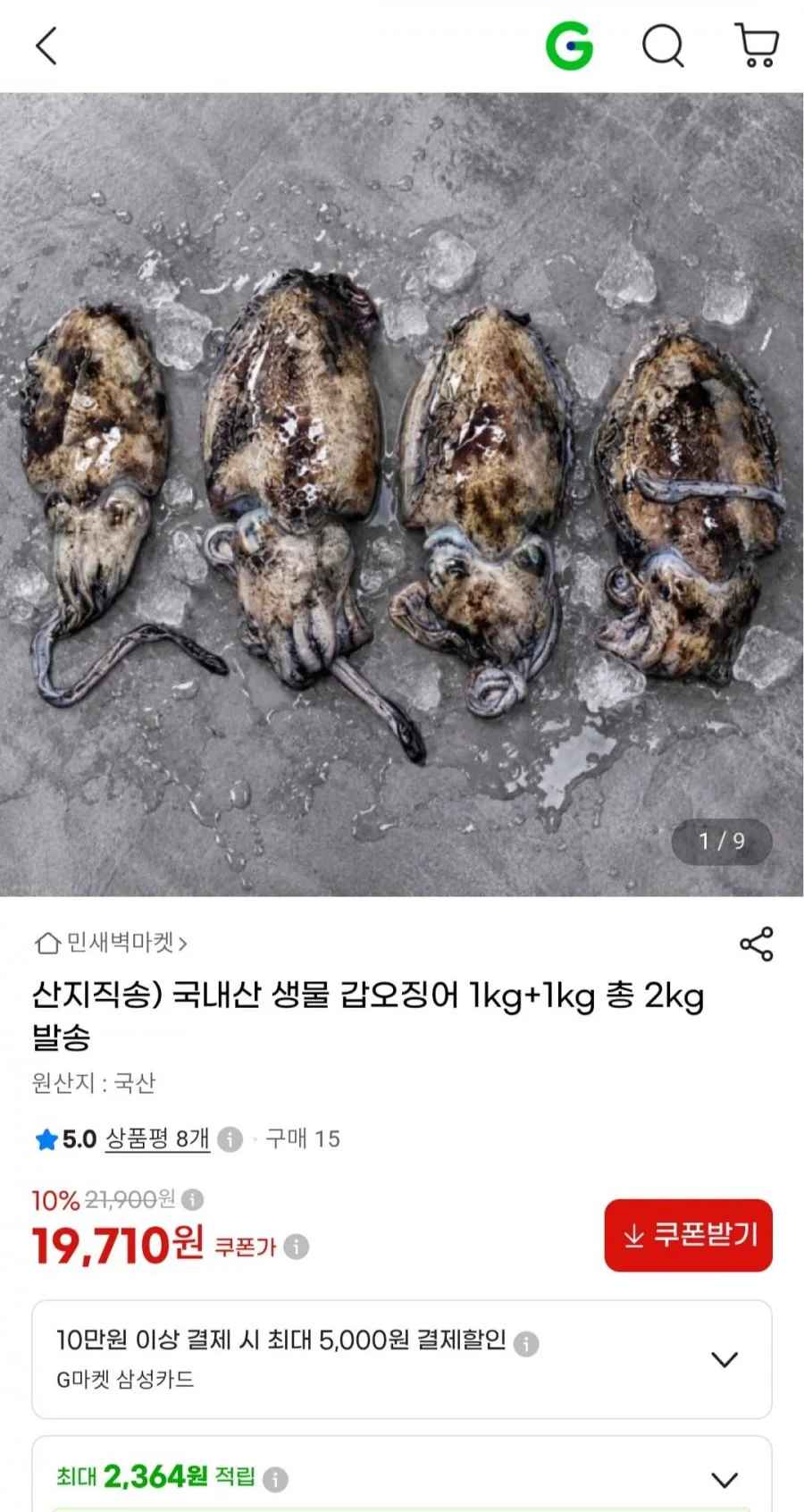 국내산 생물 갑오징어 2kg(19,710원/무료)