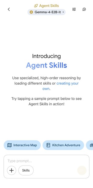 Agent Skills 진입 첫 화면 — 추천 모델과 'Try it' 버튼
