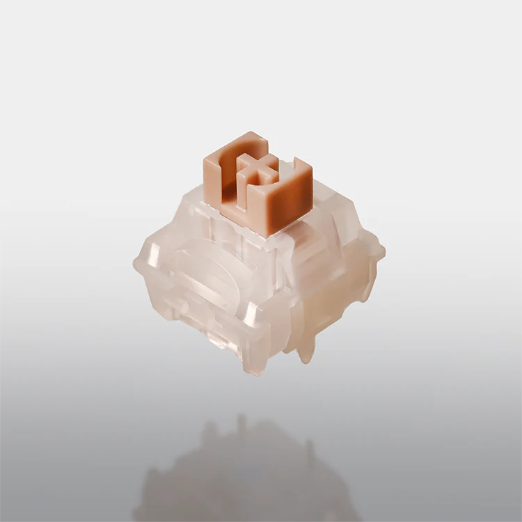 SW x TTC Peanut Latte Silent