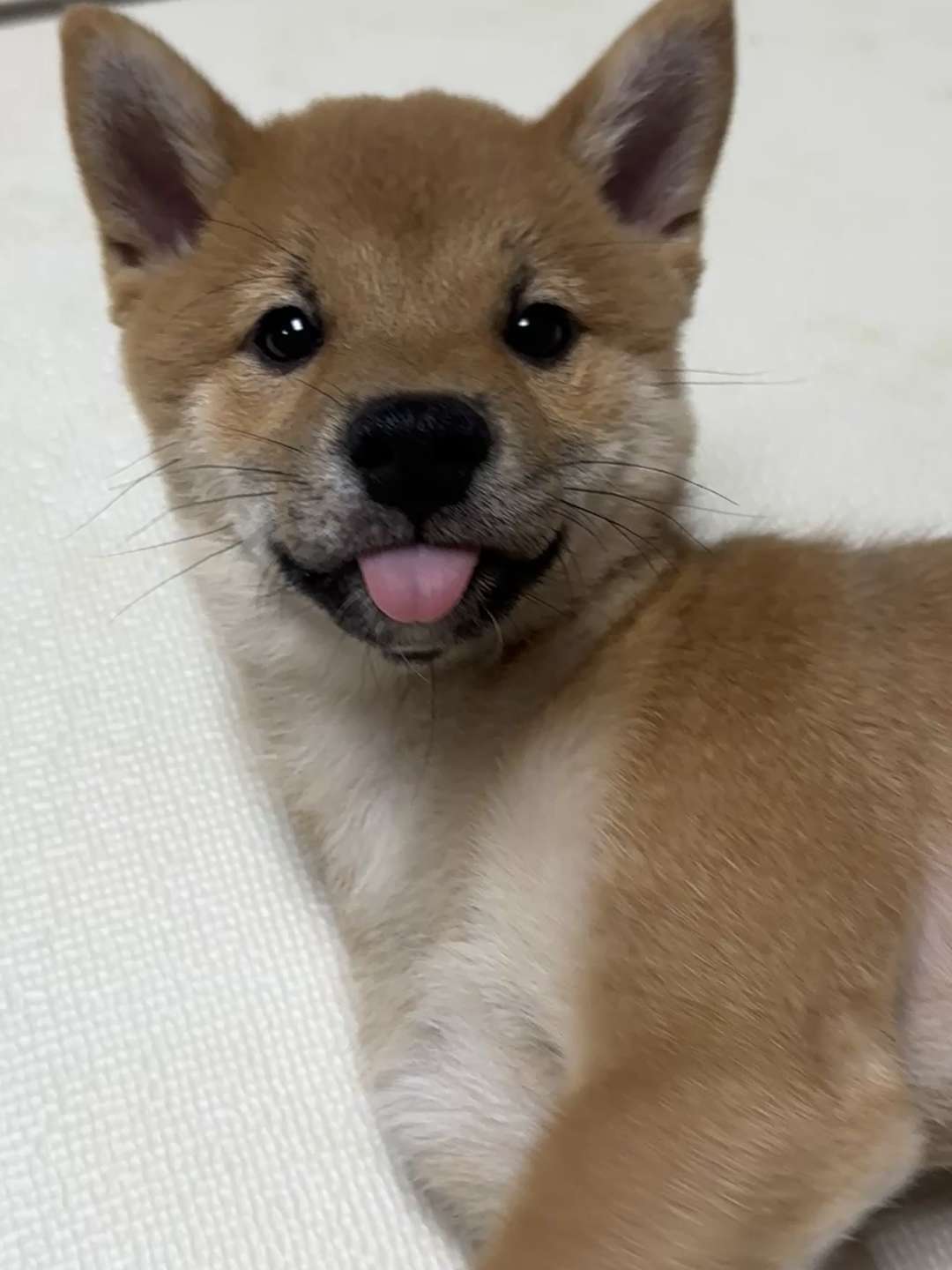 후끼무끼님이 올린 사진 1