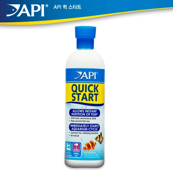 API 퀵스타트