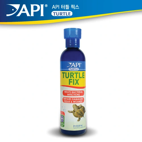 API 터틀픽스