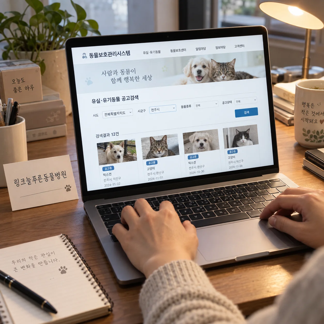 전주시 보호 공고의 지역과 보호소 조건을 대조하는 화면