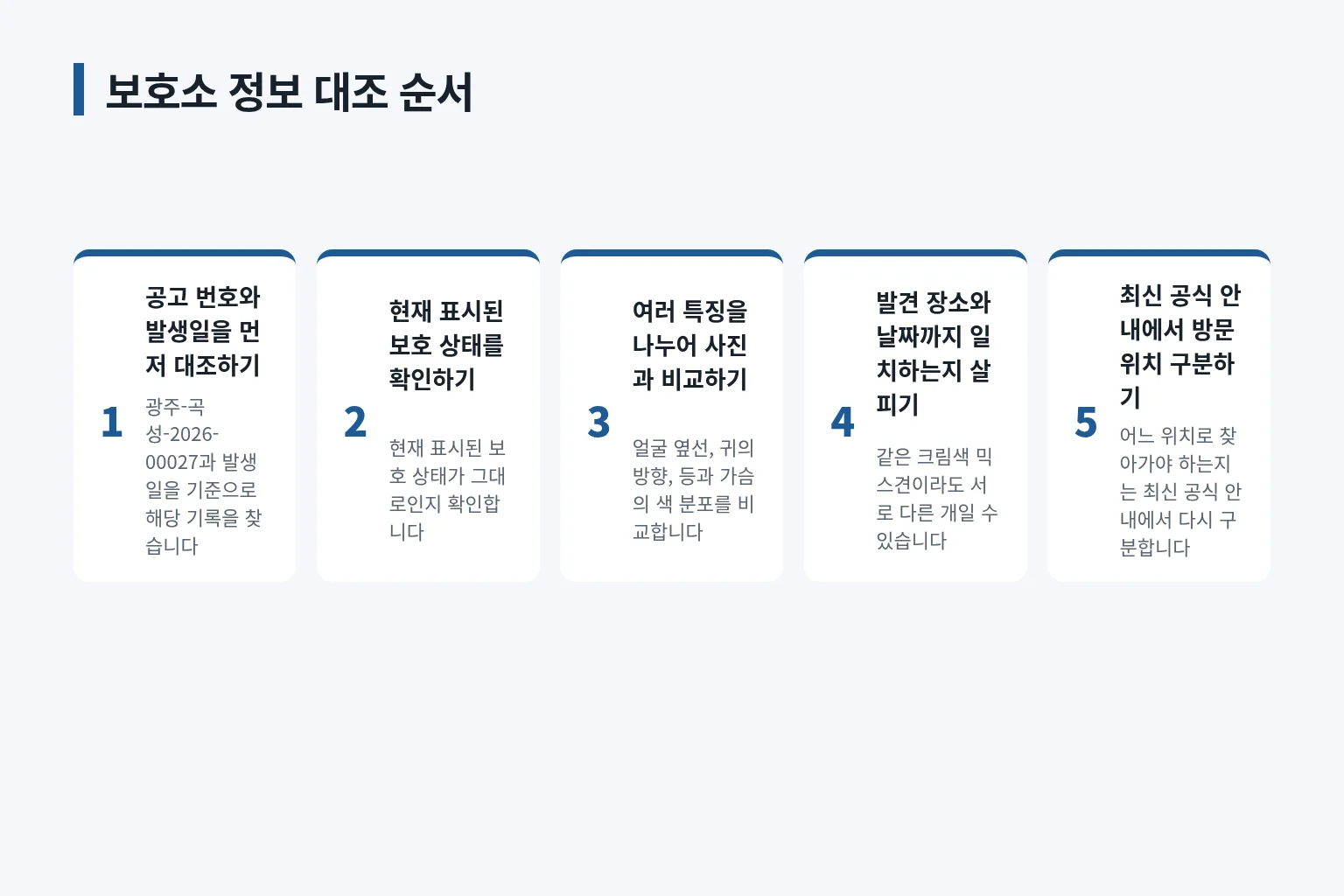 공고 번호부터 보호소 안내까지 대조하는 순서를 정리한 정보 그림입니다