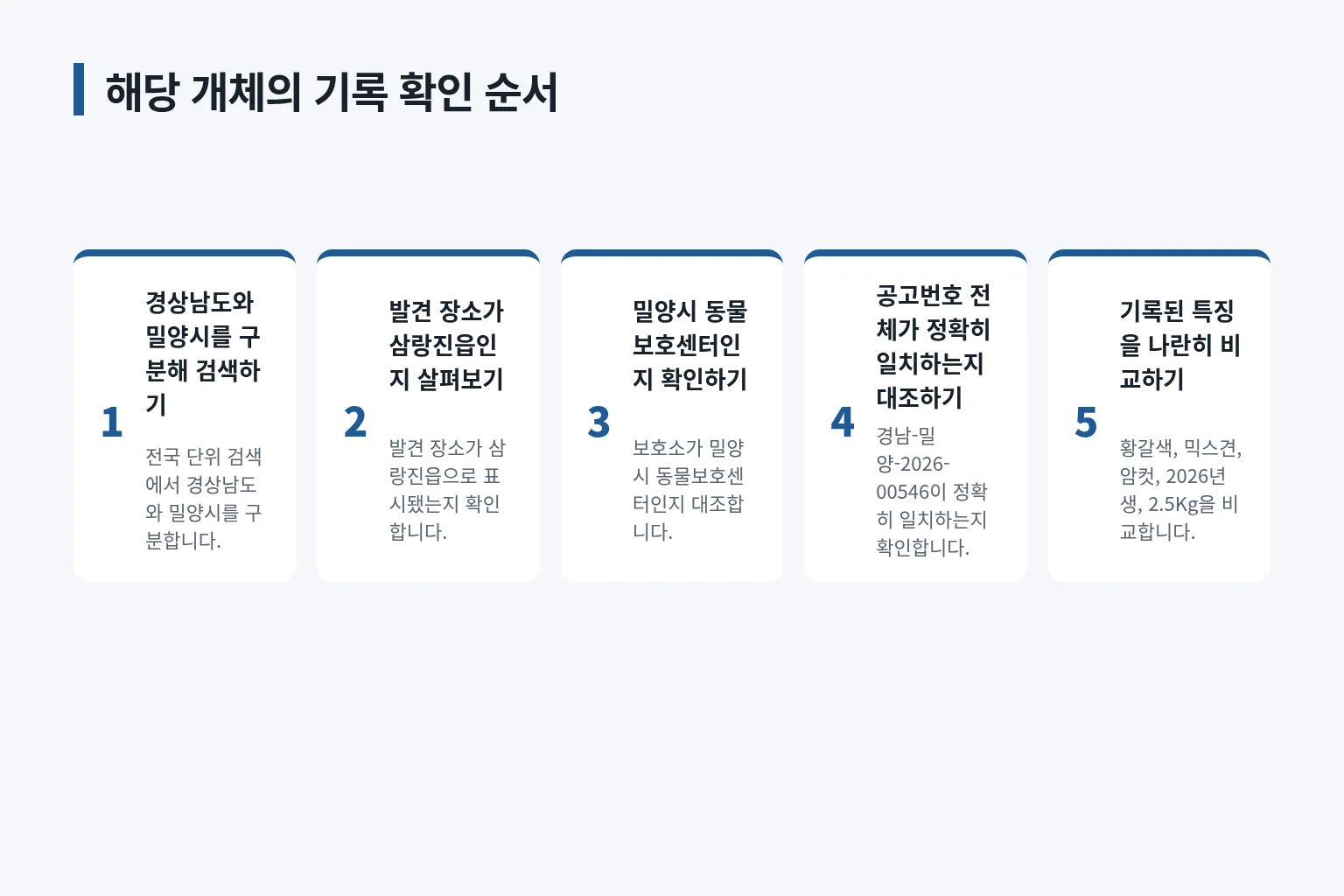 지역과 보호소, 공고번호를 순서대로 확인하는 정보 그림입니다